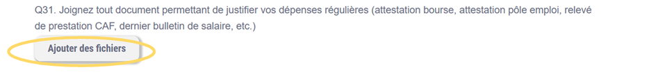 Question 31 : bouton Ajouter des fichiers pour les justificatifs
